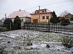 Třibřichy
